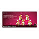Set 5 coniglietti 60 LED interno esterno acrilico 15x10x15 cm acrilico s4