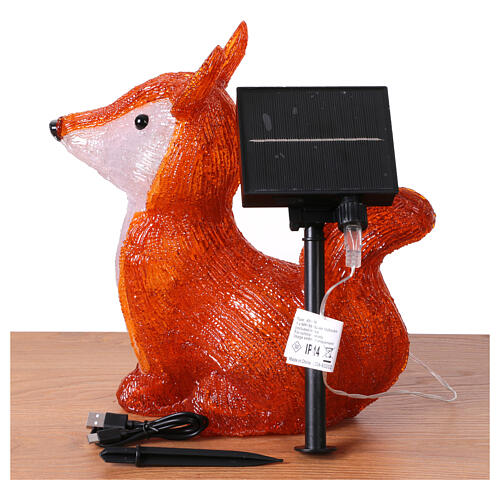 Acrylic luminous fox 30x15x30 cm 30 internal external LEDs 7