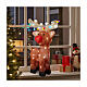 Reindeer 48 LED acrylic indoor outdoor 30x15x45 cm Christmas s2
