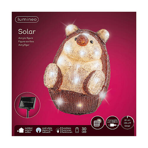 Acrylic lighted hedgehog, 30 LEDs, 8x10x10 in, idoor/outdoor 6