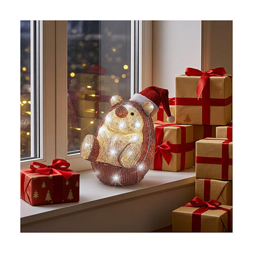 Erizo luminoso acrílico 30 LED 20x25x25 cm interior exterior 2