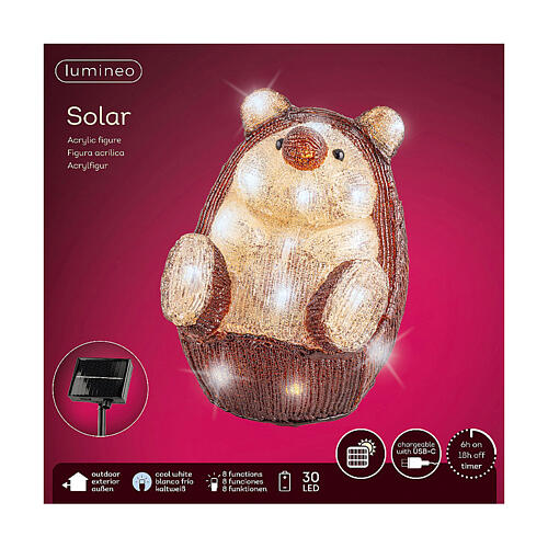 Erizo luminoso acrílico 30 LED 20x25x25 cm interior exterior 7