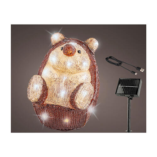 Riccio luminoso acrilico 30 LED 20x25x25 cm interno esterno 1