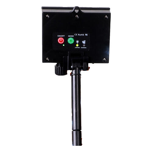 Riccio luminoso acrilico 30 LED 20x25x25 cm interno esterno 9