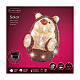 Riccio luminoso acrilico 30 LED 20x25x25 cm interno esterno s6