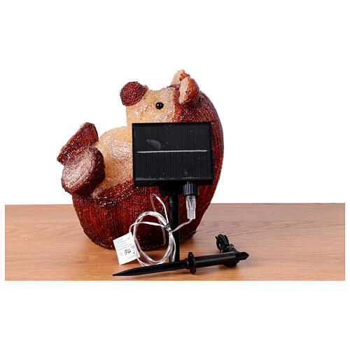 Acrylic luminous hedgehog 30 LEDs 20x25x25 cm internal external 5