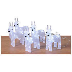 Conjunto 5 renas brancas 70 LEDs interior exterior acrílico 5x15x20 cm