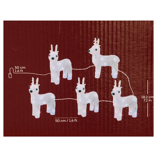 Set of 5 white reindeer 70 LEDs int and ext acrylic 5x15x20 cm 4