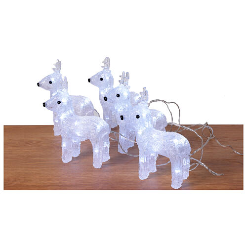 Set of 5 white reindeer 70 LEDs int and ext acrylic 5x15x20 cm 5