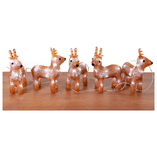 Set of 5 acrylic reindeers, 2x6x8 in, 70 LEDs for indoor and outdoor 3