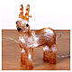 Set of 5 acrylic reindeer 5x15x20 cm colored 70 internal external LEDs s3