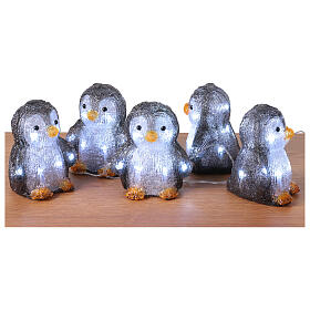 Set of 5 luminous penguins 10x10x15 cm 50 LEDs int and ext acrylic