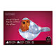 Pettirosso colorato 20 LED acrilico interno esterno 15x20x10 cm s4