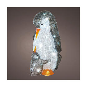 Colourful acrylic penguins, 60 LEDs, indoor/outdoor, 20x10x12 in