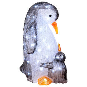 Colourful acrylic penguins, 60 LEDs, indoor/outdoor, 20x10x12 in