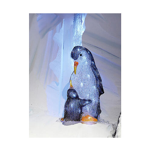 Colourful acrylic penguins, 60 LEDs, indoor/outdoor, 20x10x12 in 4