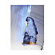 Pinguini colorati acrilico 60 LED interno esterno 50x25x30 cm s4