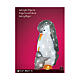 Pinguini colorati acrilico 60 LED interno esterno 50x25x30 cm s6