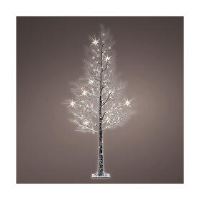 Árbol navideño iluminado 96 LED exterior 180 cm altura