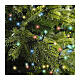 Multicoloured Christmas lights, 1000 LEDs, 10 effects, 74 ft s2