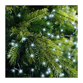 Corrente luminosa verde 1500 luzes LED branco frio 34 m interior exterior
