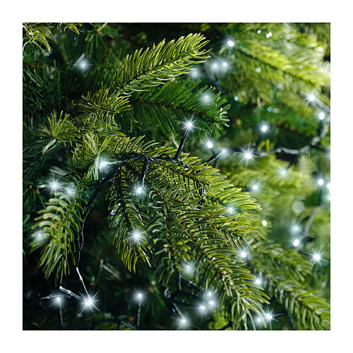 Catena di luci 60 m 3000 LED bianco freddo cavo verde 2