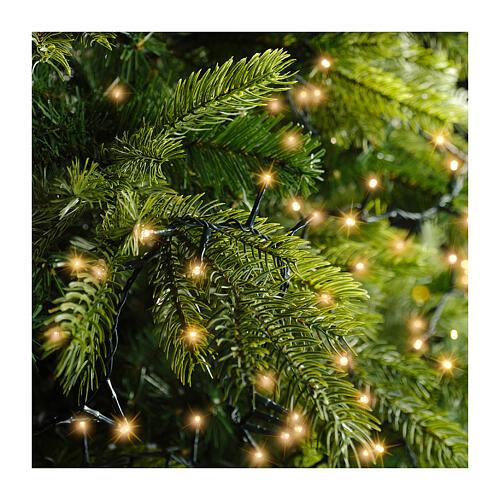 String lights, 197 ft, 3000 classic warm LEDs, indoor/outdoor 2