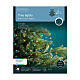 Luces navideñas multicolores cascada 672 microLED 210 cm int ext s6