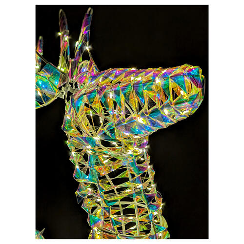 3D reindeer with rainbow warm white LED, 20x8x32 in 3