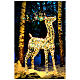 Renna 3D Babbo Natale reinbow led bianco caldo 50x20x80 cm s1