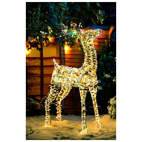 3D rainbow reindeer, warm white LEDs, 24x8x40 in