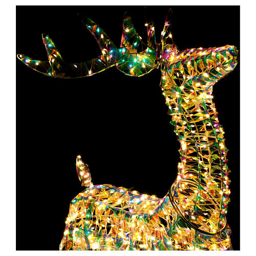 3D rainbow reindeer, warm white LEDs, 24x8x40 in 9