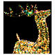 Renna rainbow Babbo Natale 3D led bianco caldo 60x20x100 cm s9