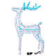 Renna rainbow Babbo Natale 3D led bianco caldo 60x20x100 cm s10