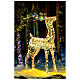 Renne 3D Père Noël Rainbow LEDs blanc chaud 70x20x120 cm s1