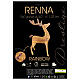 Renna 3D Babbo Natale rainbow led bianco caldo 70x20x120 cm s4