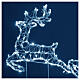 Christmas flying reindeer for indoor/outdoor, 180 cold white LEDs s4