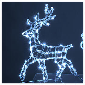 Renas de Natal branco frio voadoras 180 LED int/ext