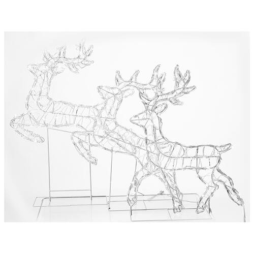 Christmas White Warm Flat Flying Reindeer 180 LED for Indoor and Outdoor Use 6