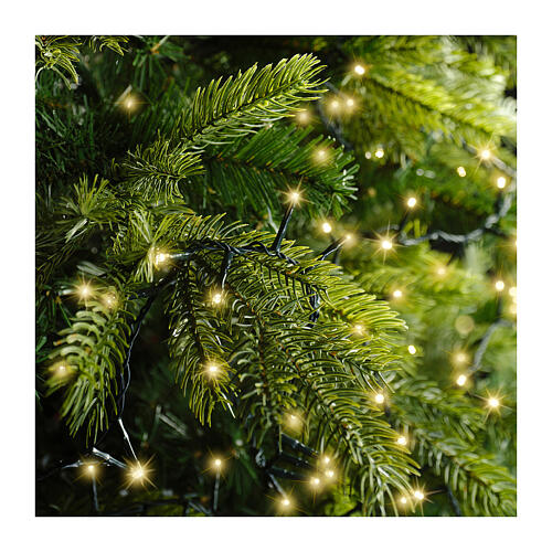 Catena luminosa 1500 LED Compact Twinkle 35 m alberi 300-450 cm int est 2