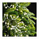 Catena luminosa 1000 LED soft glow bianco caldo 22,5 m int est s2