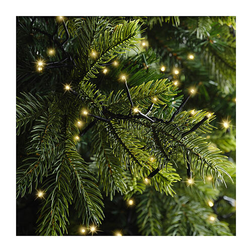 Catena luminosa Excellent Twinkle bianco caldo 960 LED 15 m alberi 150-180 cm 2