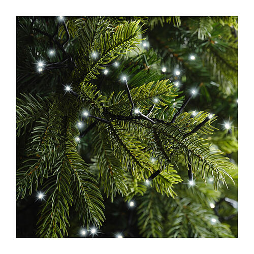 Catena 2208 LED bianco freddo Excellent Twinkle 35 m int est alberi grandi dimensioni 2
