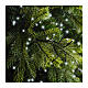Catena 2208 LED bianco freddo Excellent Twinkle 35 m int est alberi grandi dimensioni s2