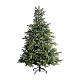 Catena 2208 LED bianco freddo Excellent Twinkle 35 m int est alberi grandi dimensioni s4