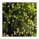 Catena luminosa dorata 1030 LED Cluster densi luce fissa dimmer 10,5 m int est s2