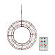 Maxi wreath with 250 micro LEDs, Dancing Lights, outdoor, 22 in s6