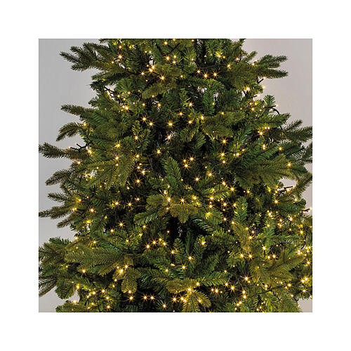 Cadena luminosa blanco frío 480 micro LED Compact Twinkle 6 m int ext 9