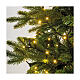 Catena luminosa bianco freddo 480 micro LED  Compact Twinkle 6 m int est s2