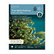 Cascata luminosa 672 microled filo oro flashing dorato e bianco caldo int est s7